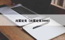 川菜论文（川菜论文3000）